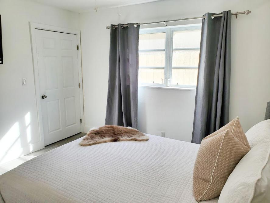 Stylish & Newly-Renovated Suites Near Las Olas فورت لودرديل المظهر الخارجي الصورة